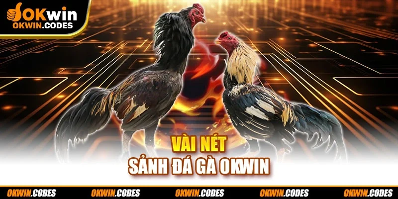 Vài nét sảnh đá gà Okwin